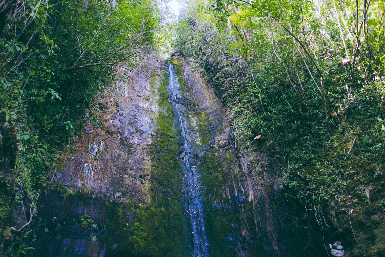 Mānoa Falls